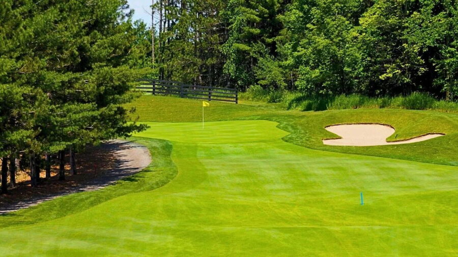 Legacy Pines GC: #7