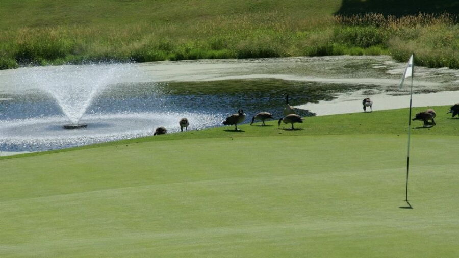 Baker National GC