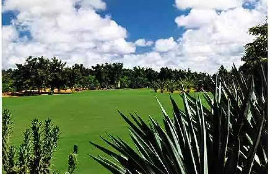 Golf De Saly: #6