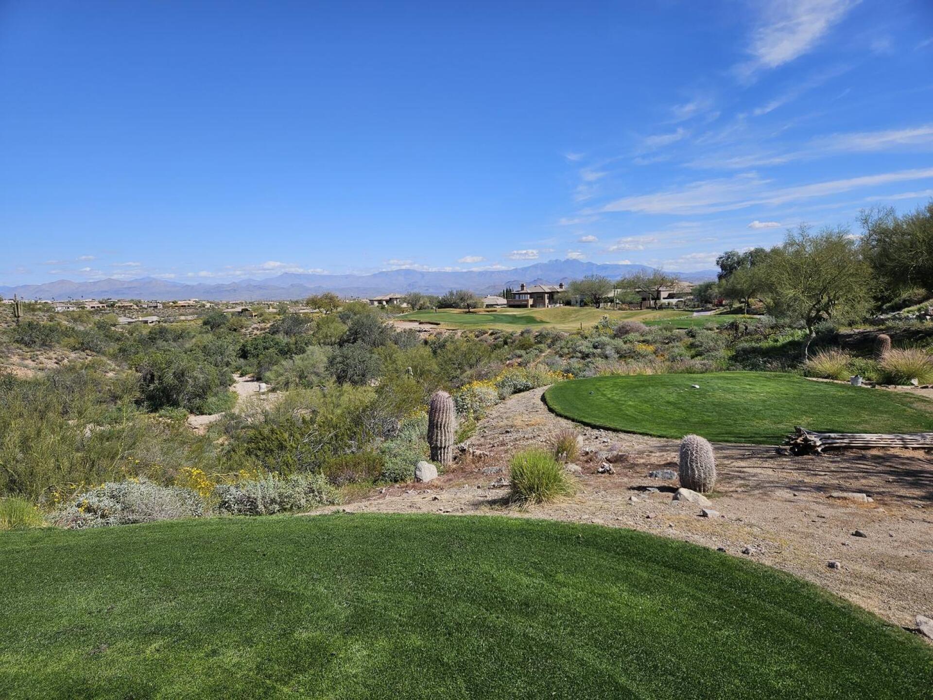 (Photo submitted by u314160019431 on 03/04/2026)