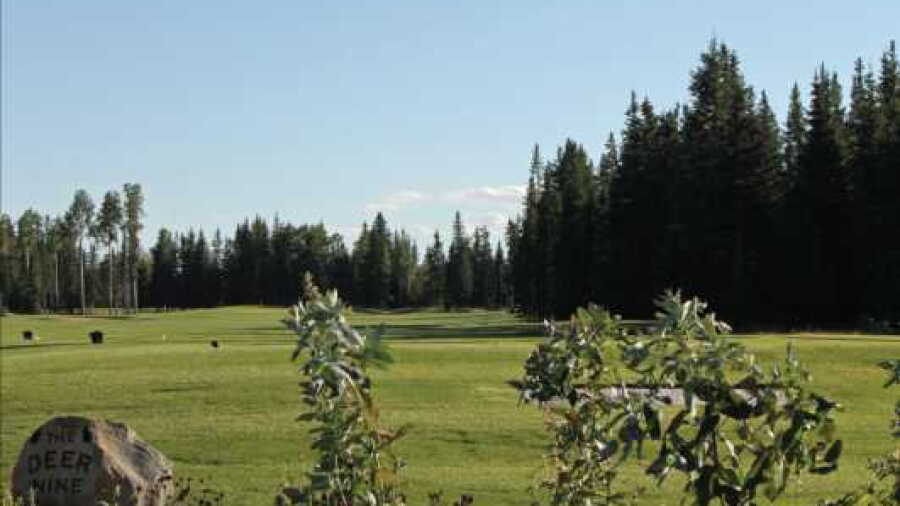 Coyote Creek Golf & RV Resort - Deer Nine Course #1