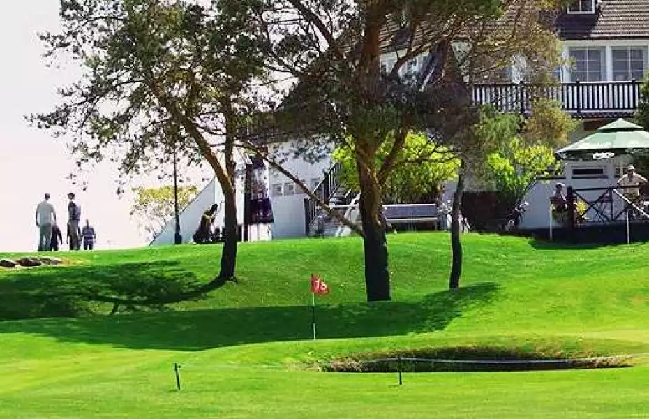 Amber Baltic GC - Amber: #18