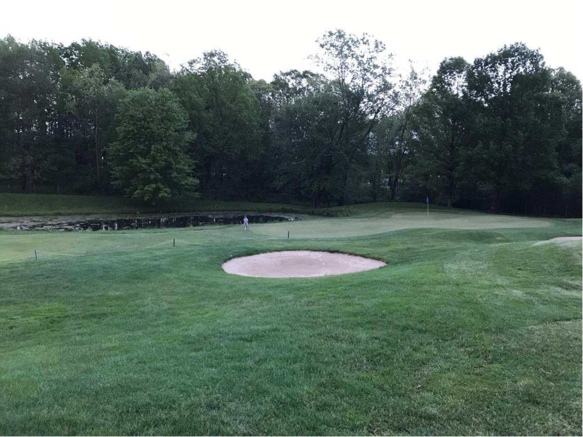 8th green from right side of green (Photo submitted by carolinadad on 05/19/2017)