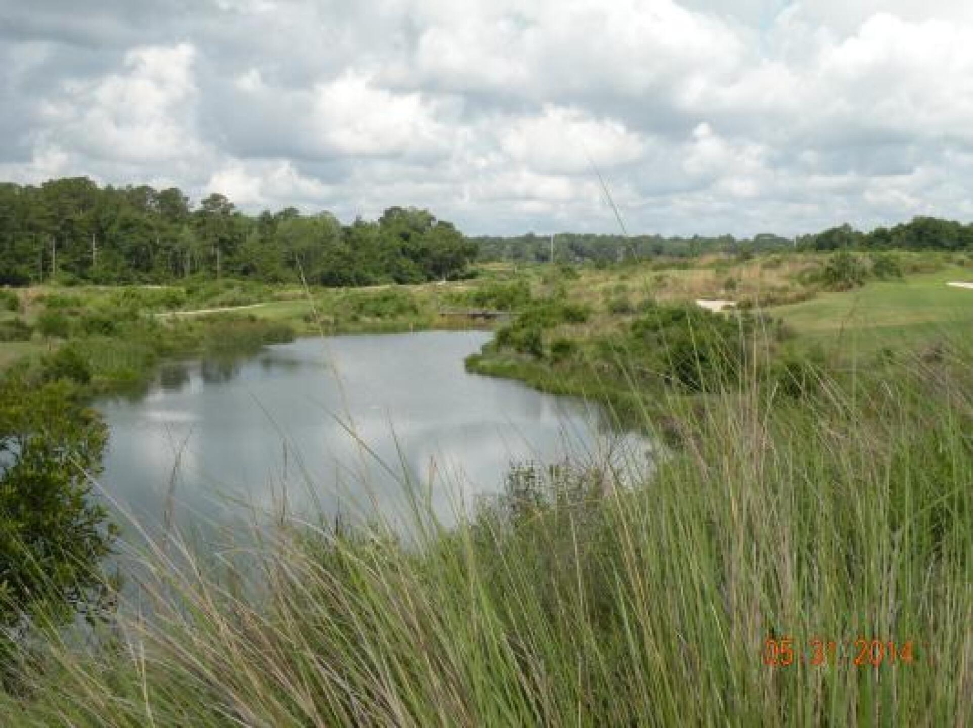 (Photo submitted by jerryTTTT on 06/02/2014)