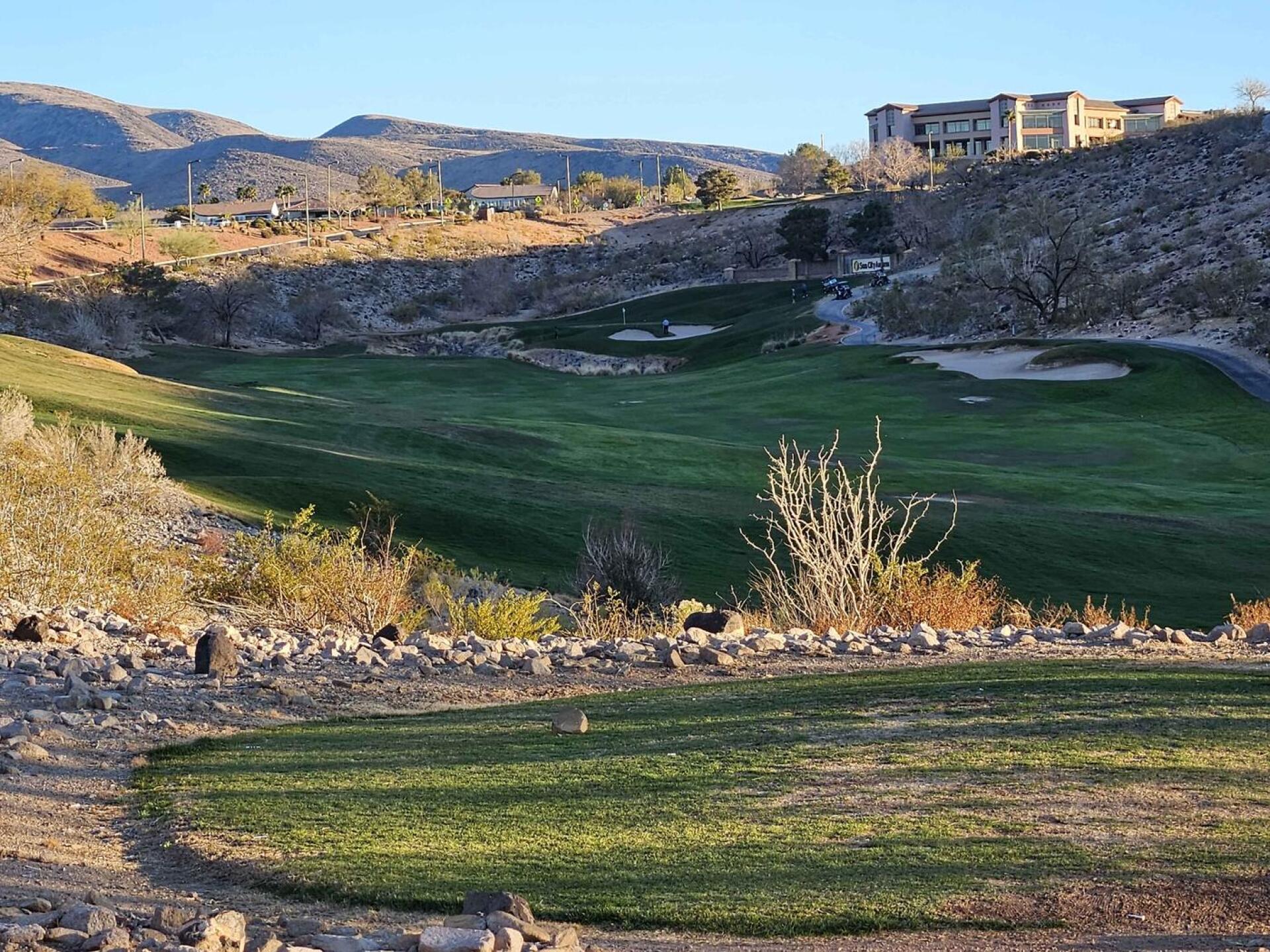 (Photo submitted by u314161622535 on 02/21/2025)