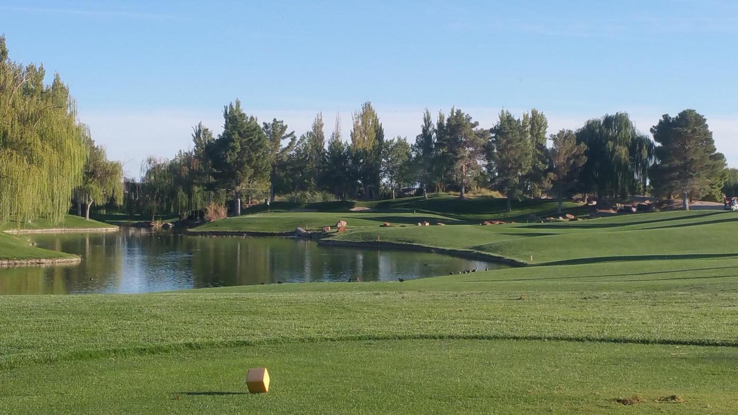 (Photo submitted by u000005193646 on 10/05/2016)