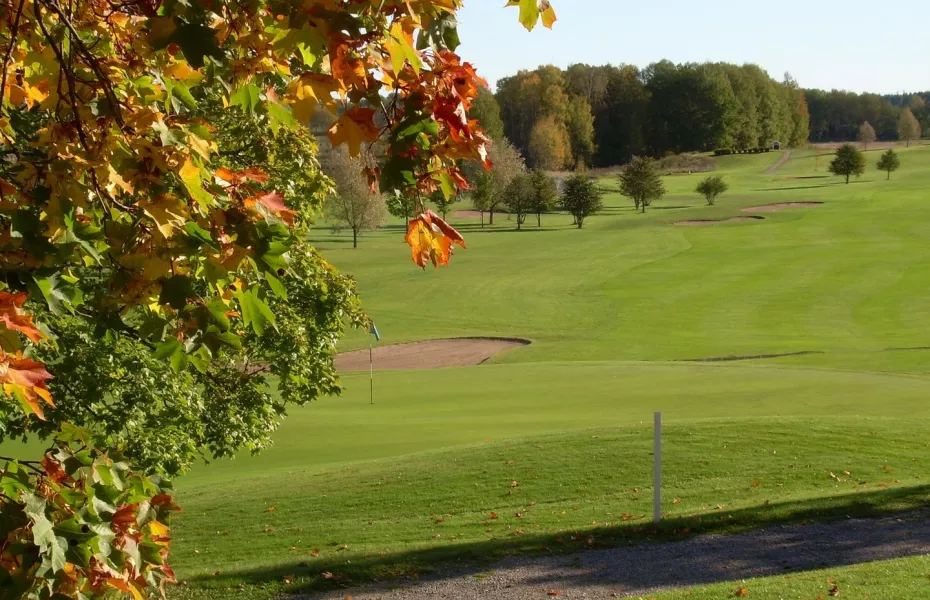 Finspangs GC - Blue: #9