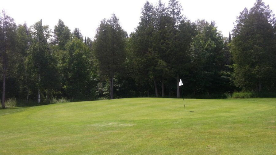 Cedar Valley GC: #8