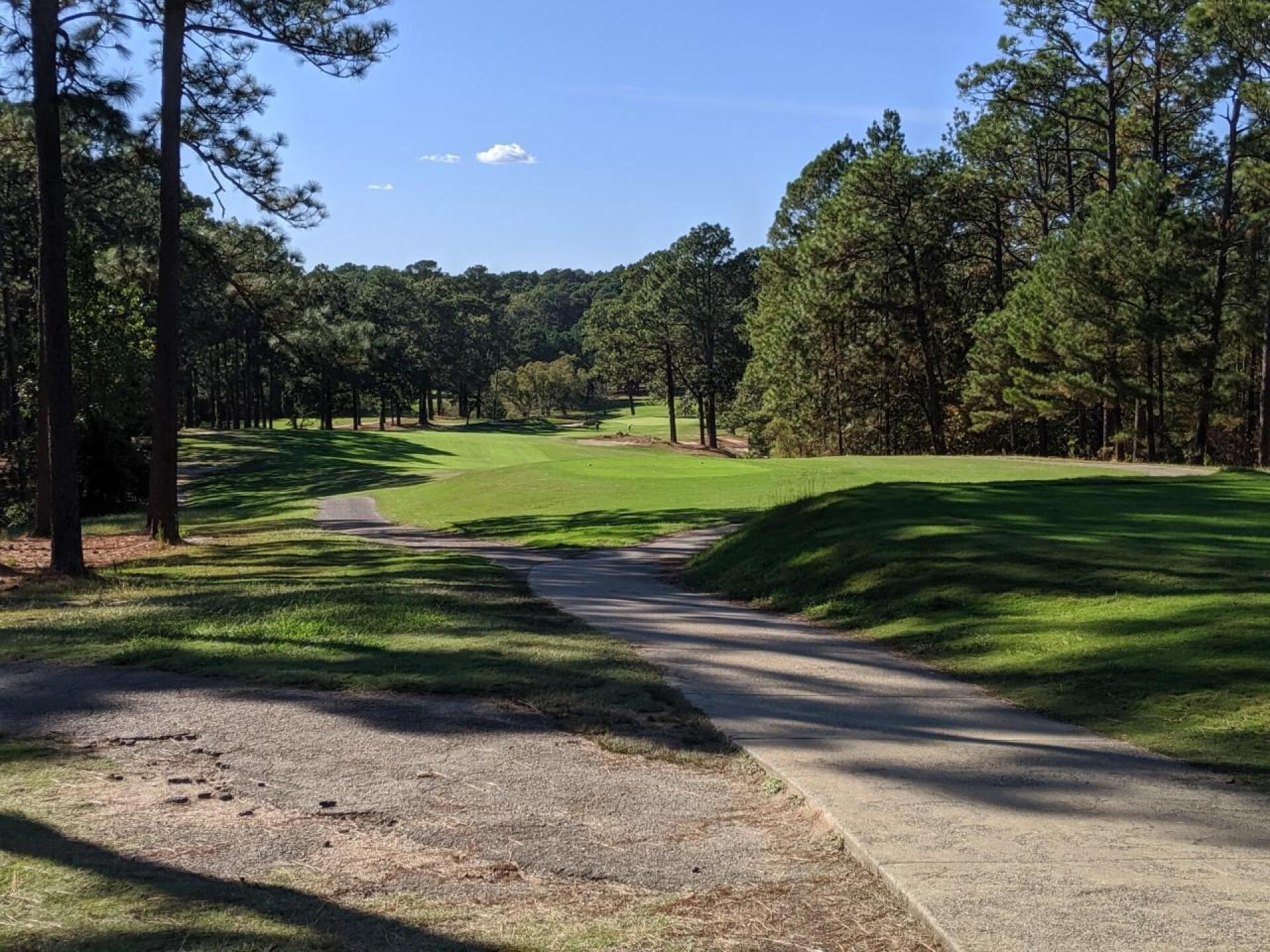 Southern Pines #8 (Photo submitted by GolferJake78 on 10/17/2019)