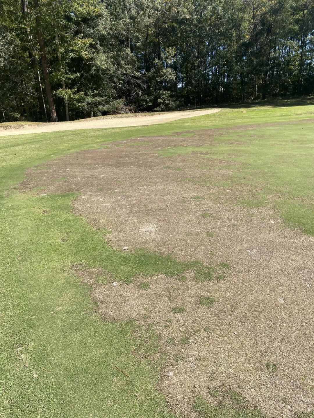 Bare spots on greens (Photo submitted by fyvFQq7Ui3DhIqk1j4h1 on 04/16/2024)