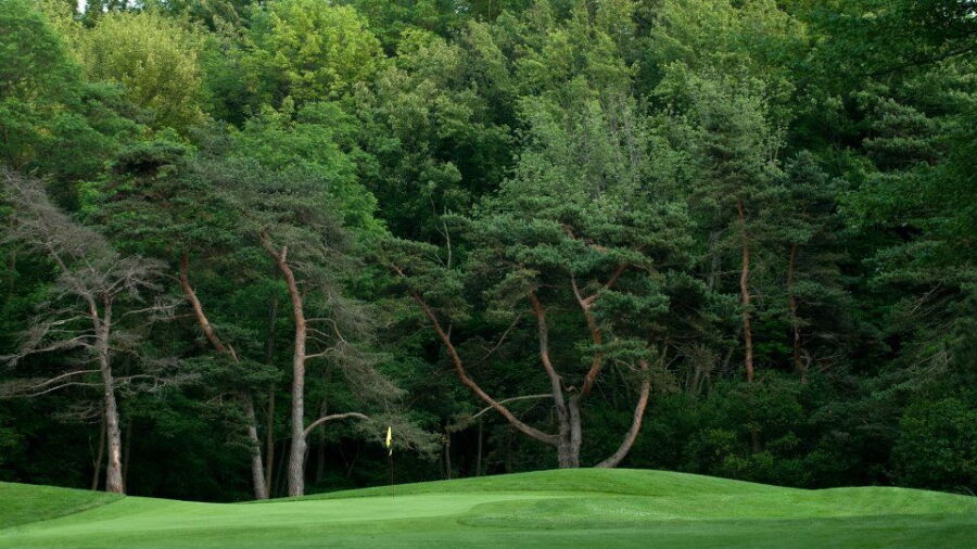 Valley View GC: #5