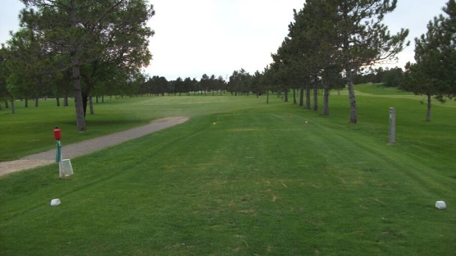 Twin Pines GC: #8