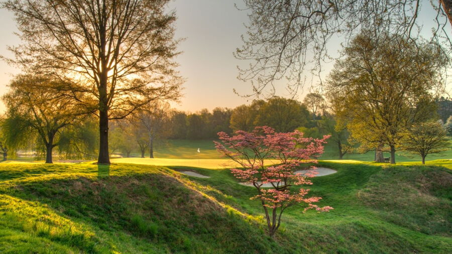 Gulph Mills GC