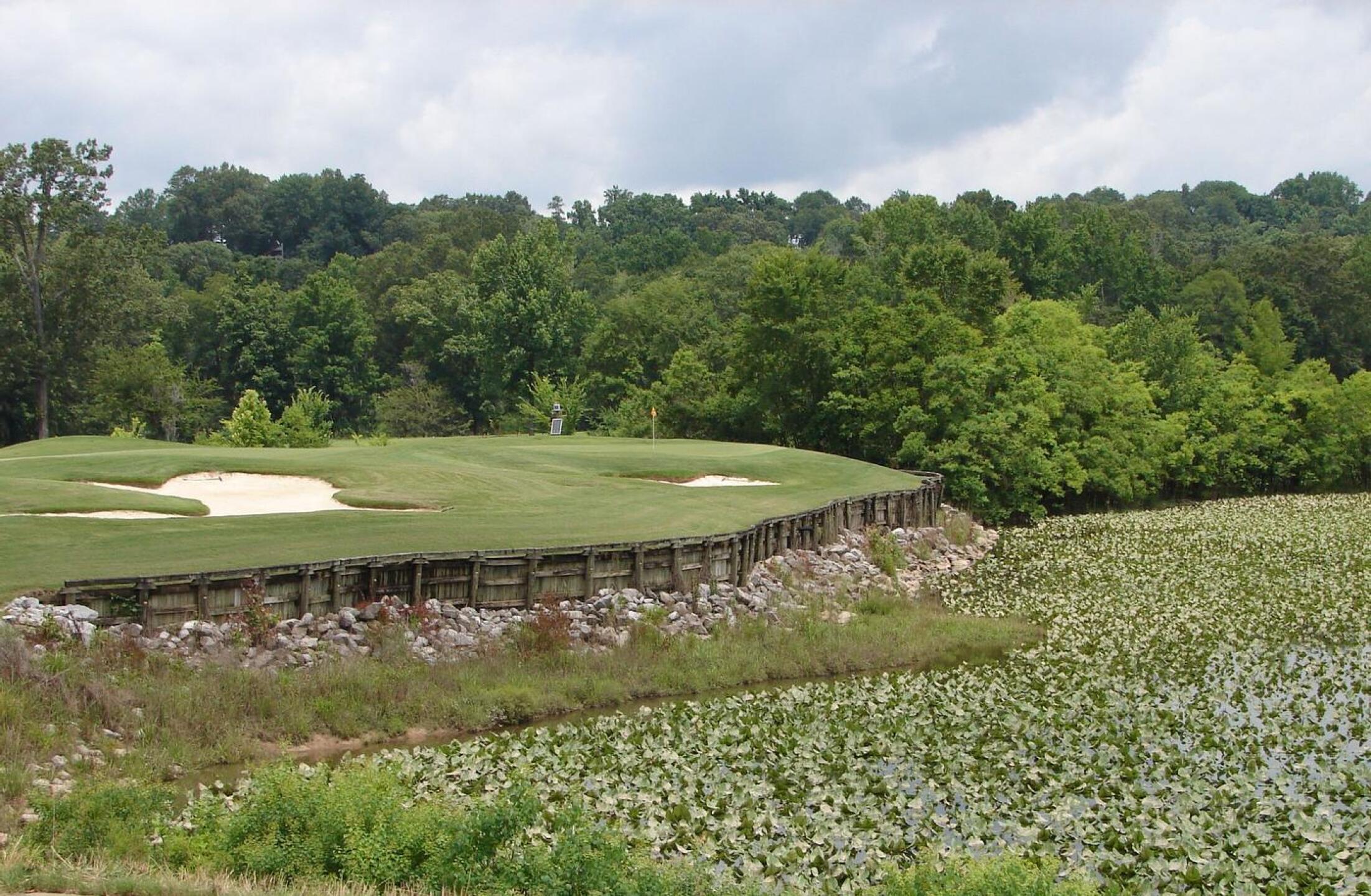 The par 3 - 12th (Photo submitted by u00000760482 on 08/11/2023)