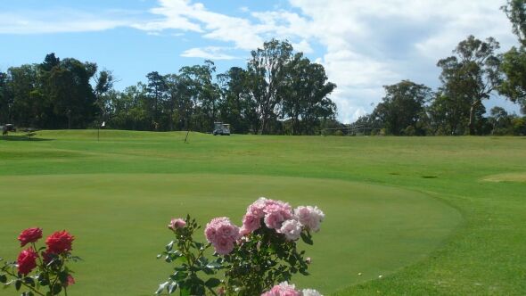 Stanthorpe GC