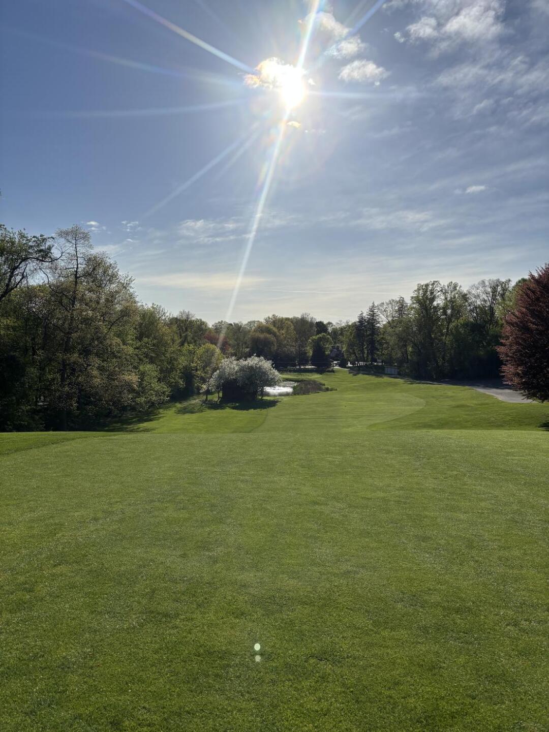 (Photo submitted by ritwikjha on 05/01/2025)