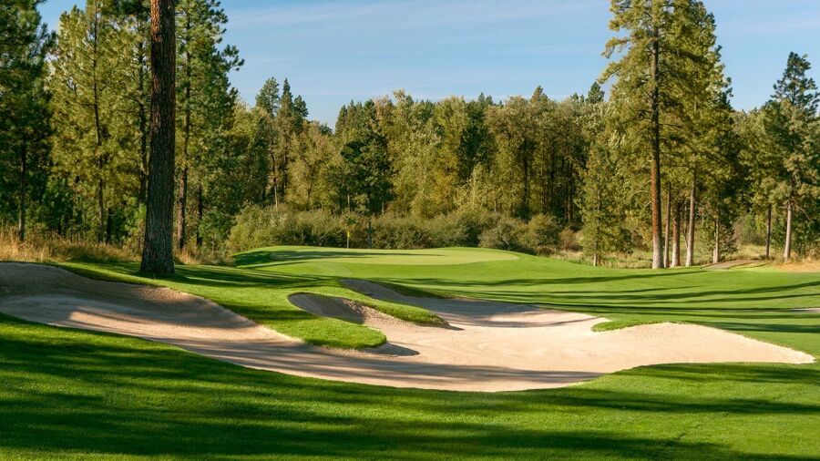 Circling Raven GC: #15