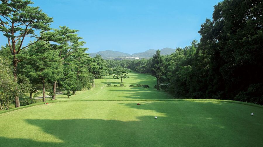 Ono GC: #2