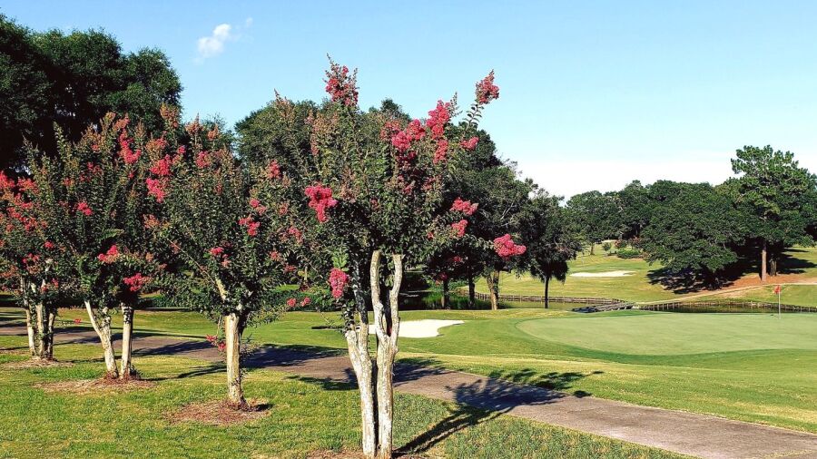 Rocky Bayou CC
