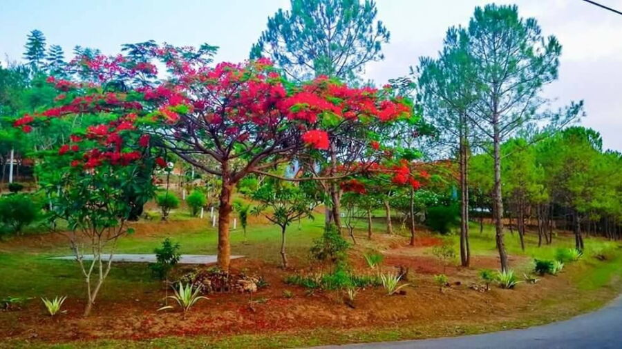 Aye Thar Yar Golf Resort