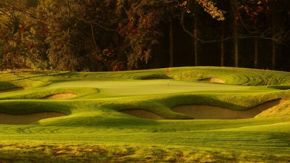 Killeen Castle GC: #15