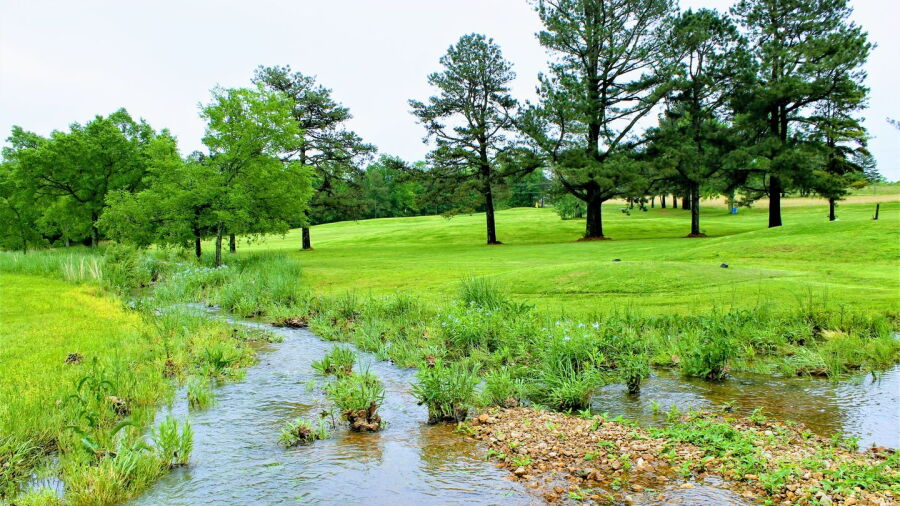 Sycamore Hills CC