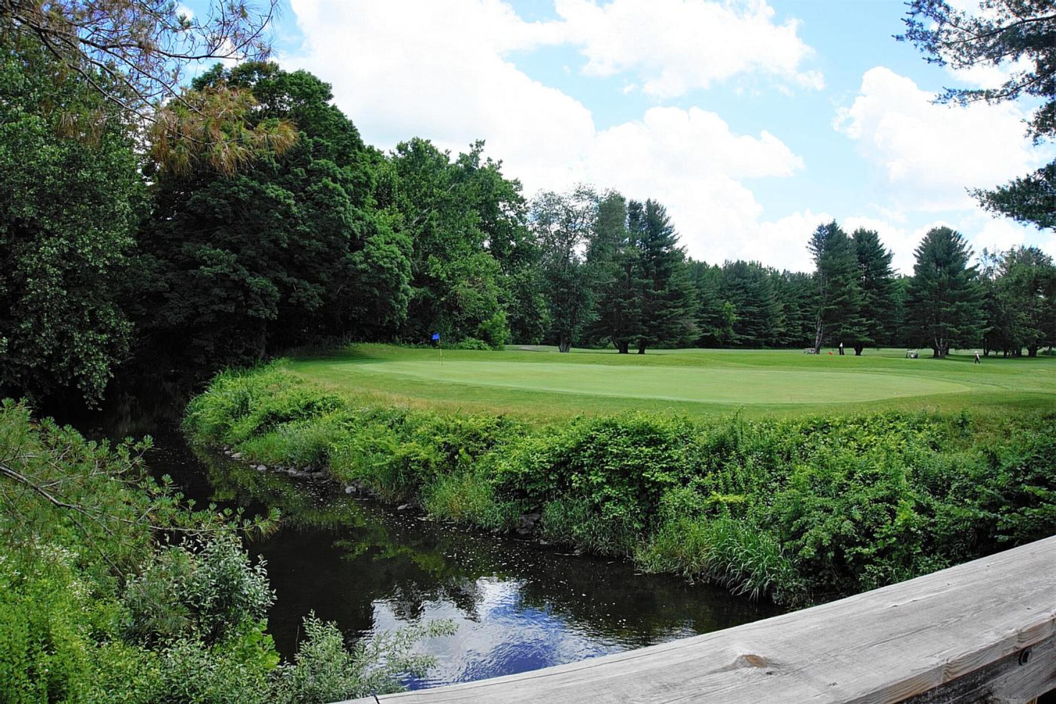 There are two kinds of misses that become costly into the ninth green: A) landing around five yards shy of the front fringe, and B) even shorter than that. (Photo submitted by AptlyLinked on 06/25/2022)