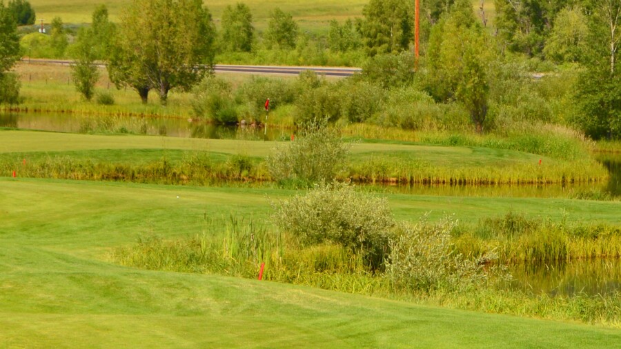 Haymaker Golf Course -  no. 11