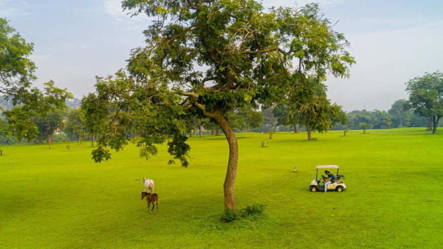 Zuma Rock GC