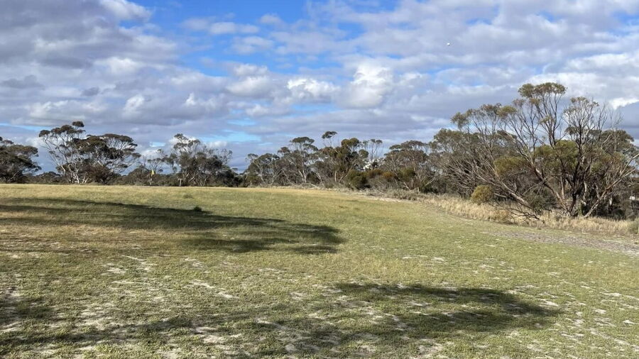 Pingrup GC