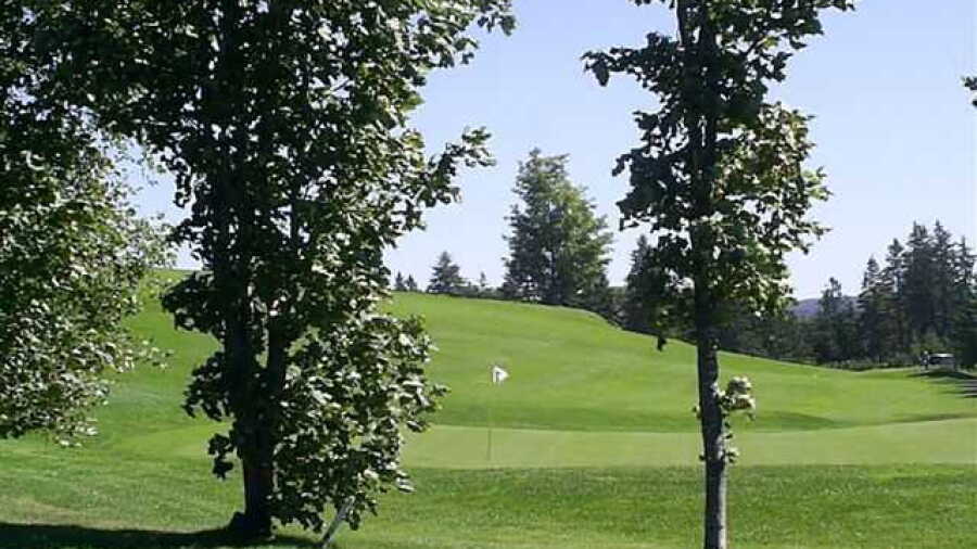 Golf du Moulin Laflamme: #8
