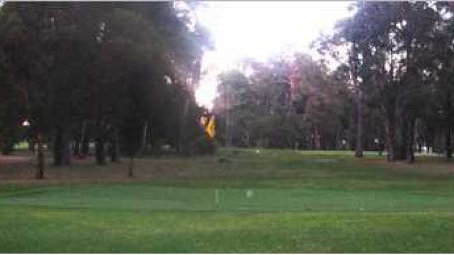 Manjimup CC