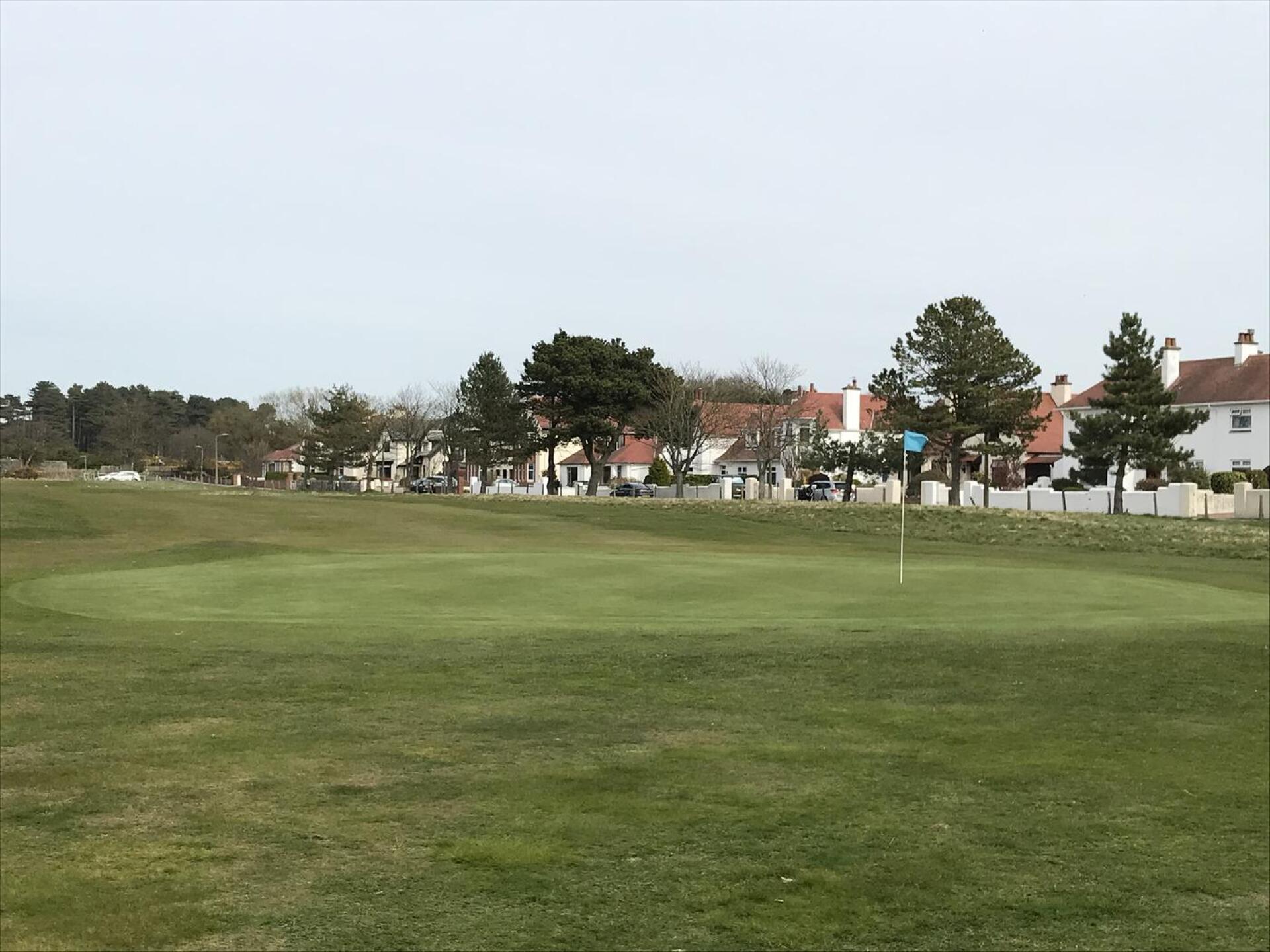 (Photo submitted by kenberry on 04/23/2021)