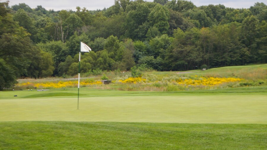 Hampshire Greens G.C. - 18th green