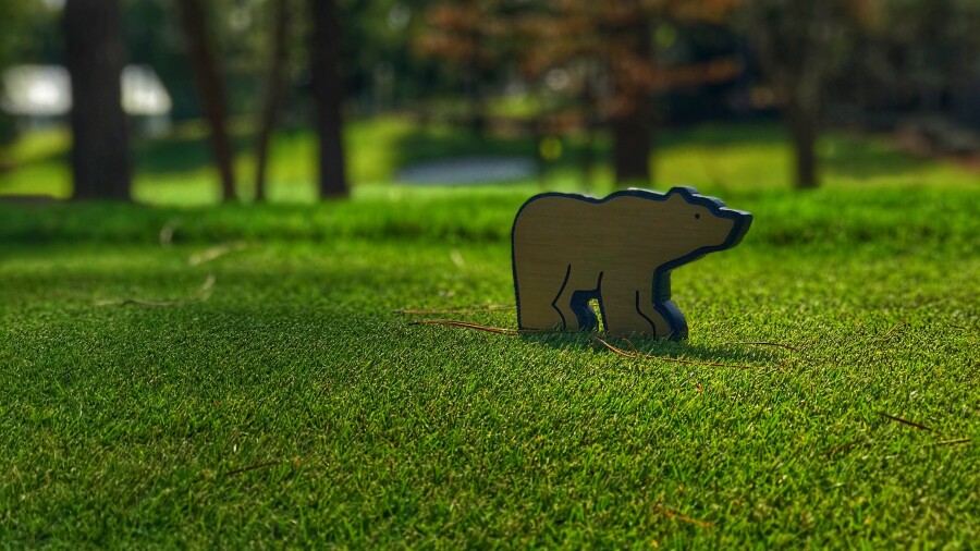 great-waters-bear-tee.jpg