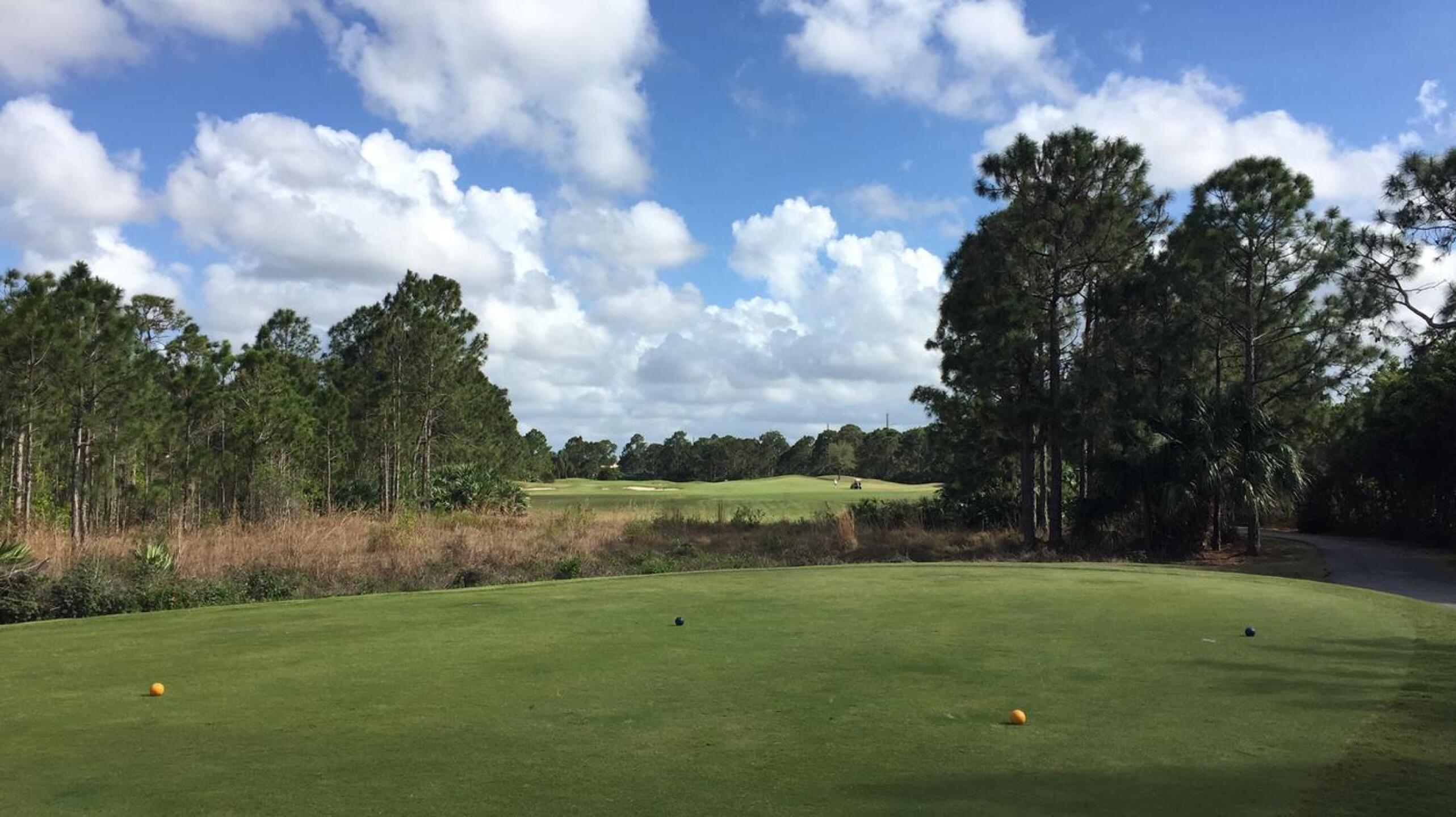 You'll find pleasant Florida golf at Hammock Creek. (Photo submitted by TimGavrichGP on 10/27/2017)