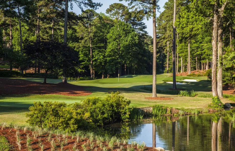 Reynolds Lake Oconee - The Preserve: #3