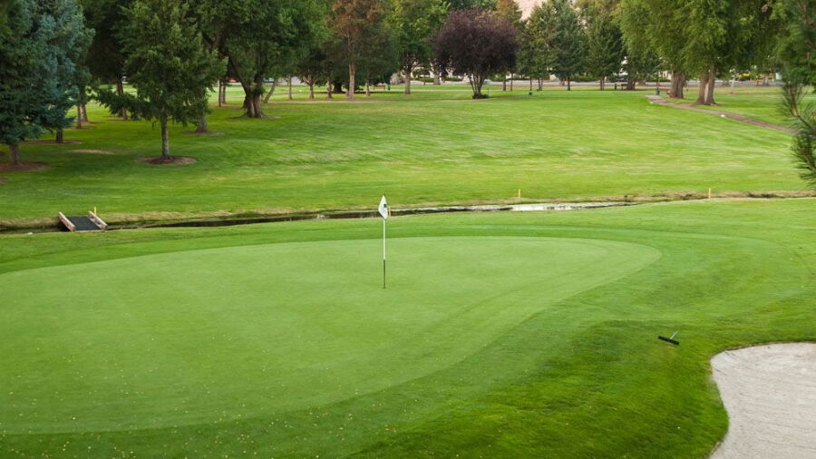 Plantation GC: #9