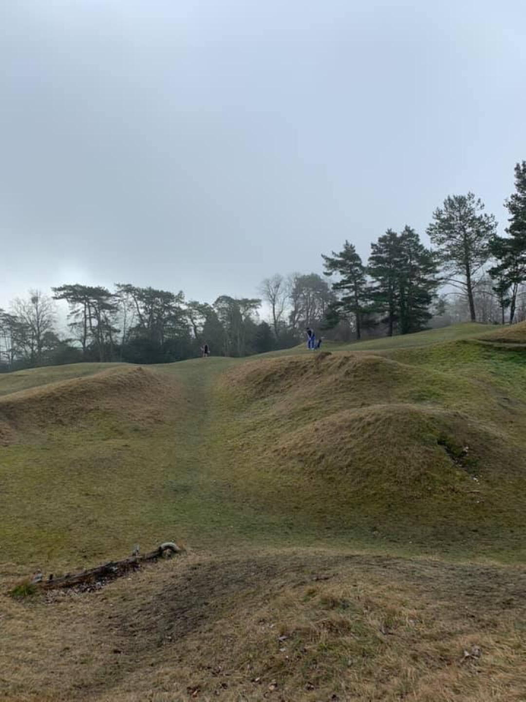 (Photo submitted by u759866000 on 02/22/2019)
