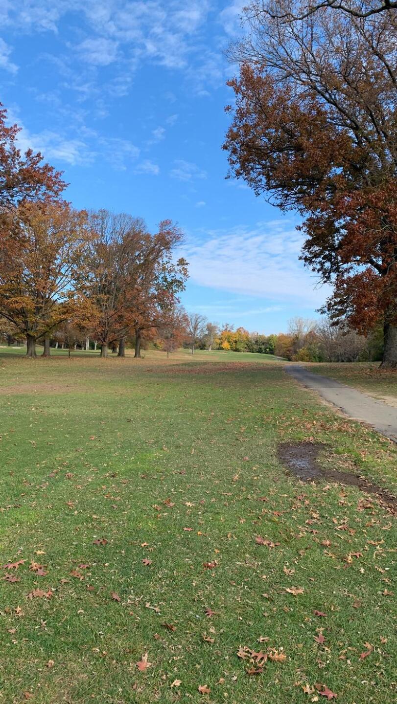 (Photo submitted by u1681786771 on 11/21/2021)