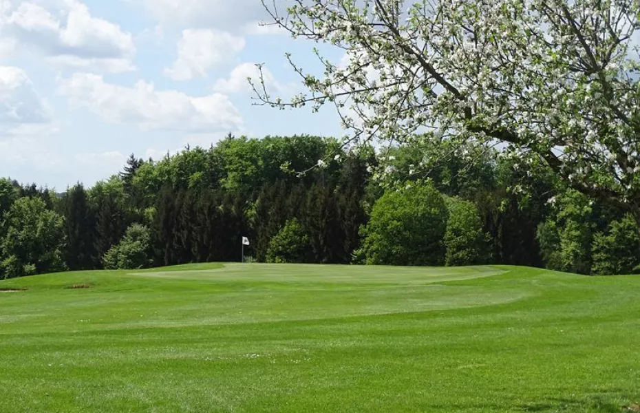 Oberrot-Frankenberg GC