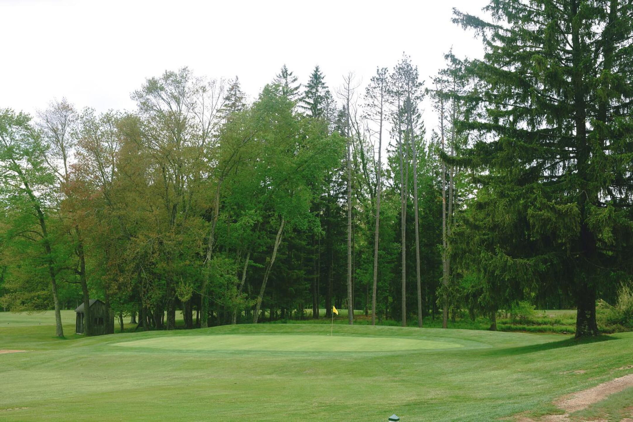 1st Hole: This downhill par-4 is a drive and pitch, but on the approach the green runs away from the player. (Photo submitted by AptlyLinked on 05/21/2025)