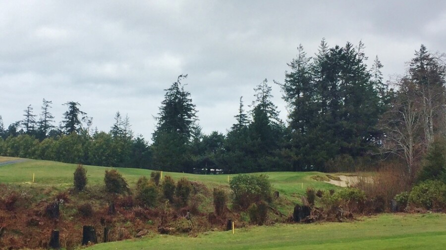 Bandon Crossings - hole 4 