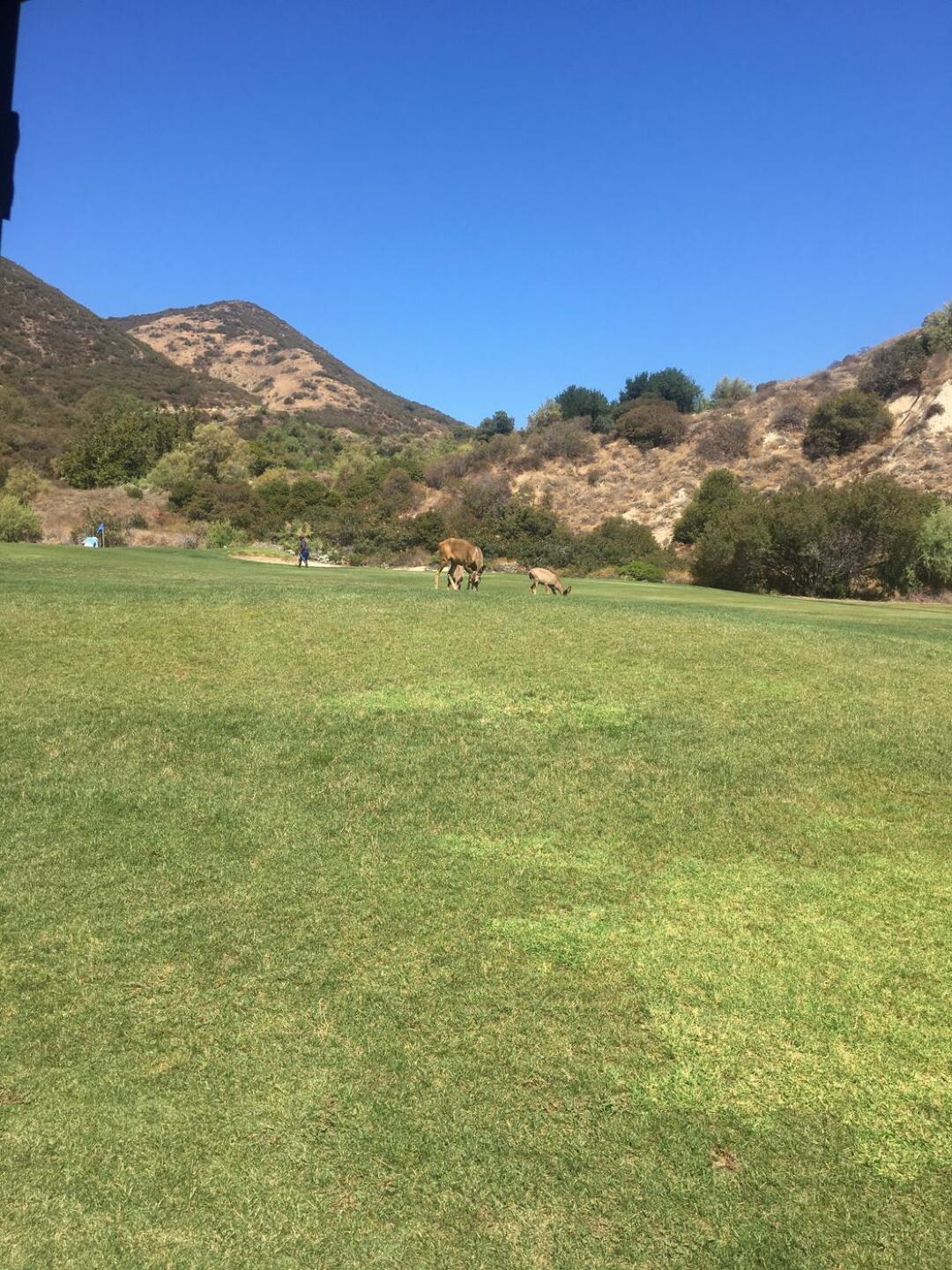 (Photo submitted by RickWilson52 on 08/04/2021)