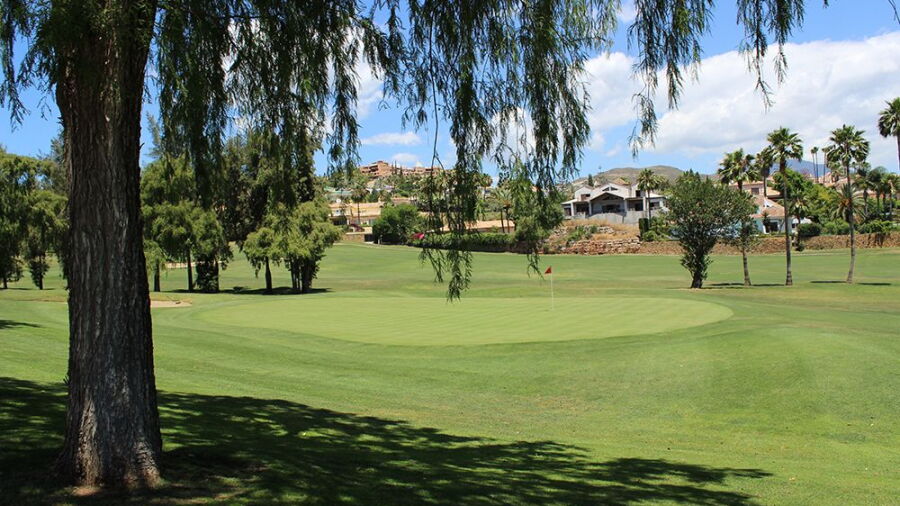 Los Naranjos GC: #8