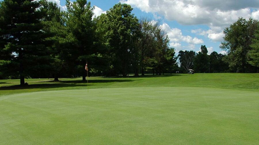 Pine View GC