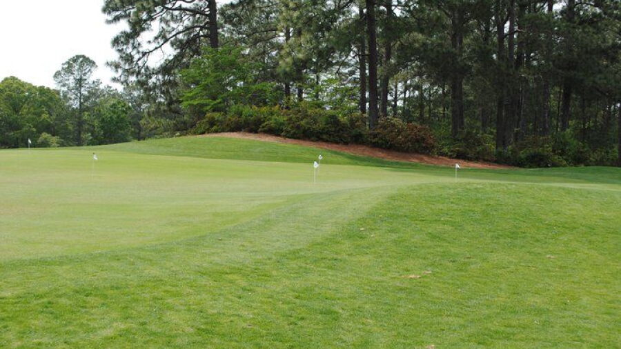 Houndslake CC: putting green