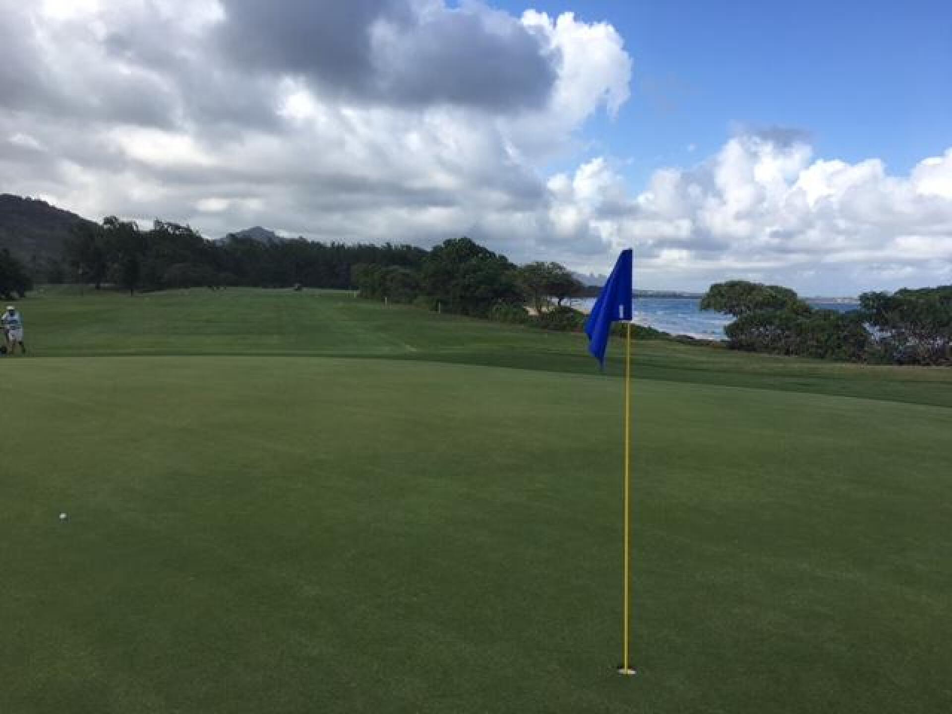 (Photo submitted by LICC on 09/08/2017)