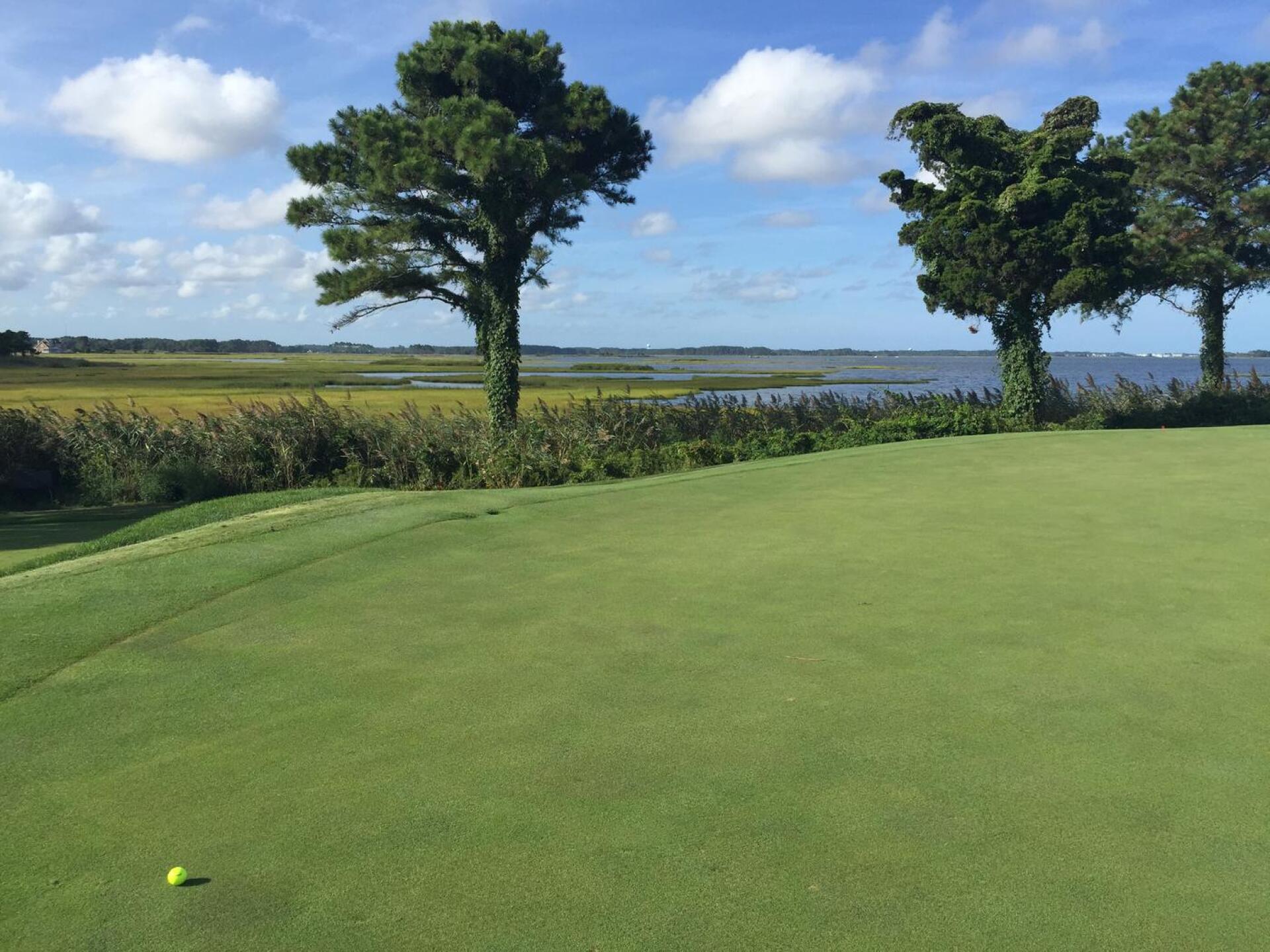 (Photo submitted by MasterTigerWoods on 08/01/2016)