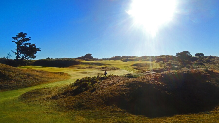 Bandon Dunes - Bandon Preserve golf course - 7th